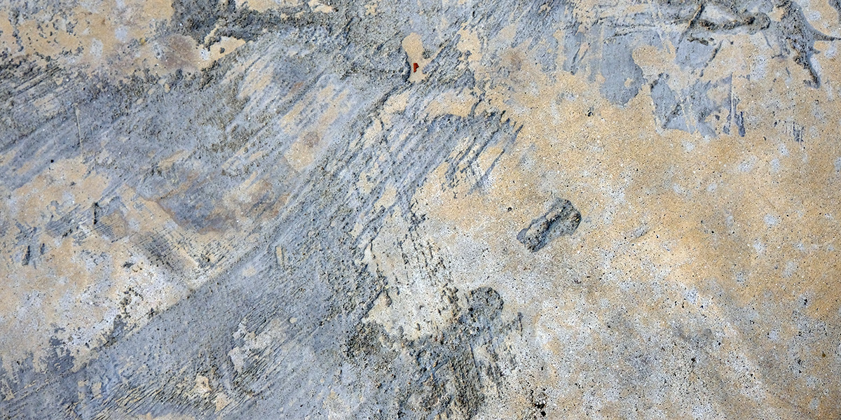 An image showing a degraded floor's top coat