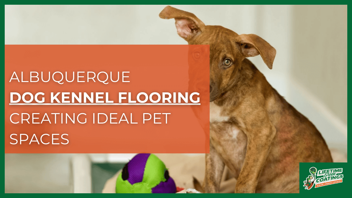 albuquerque dog kennel flooring