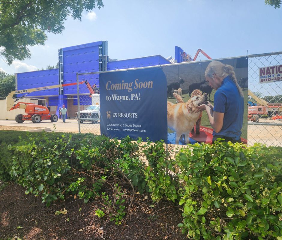 Pet Hotel floor upgrades jpg Pet Hotel floor upgrades jpg